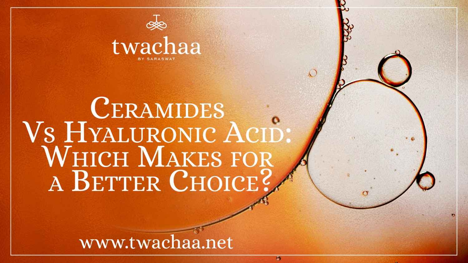 Ceramides Vs Hyaluronic Acid: Which Makes for a Better Choice?